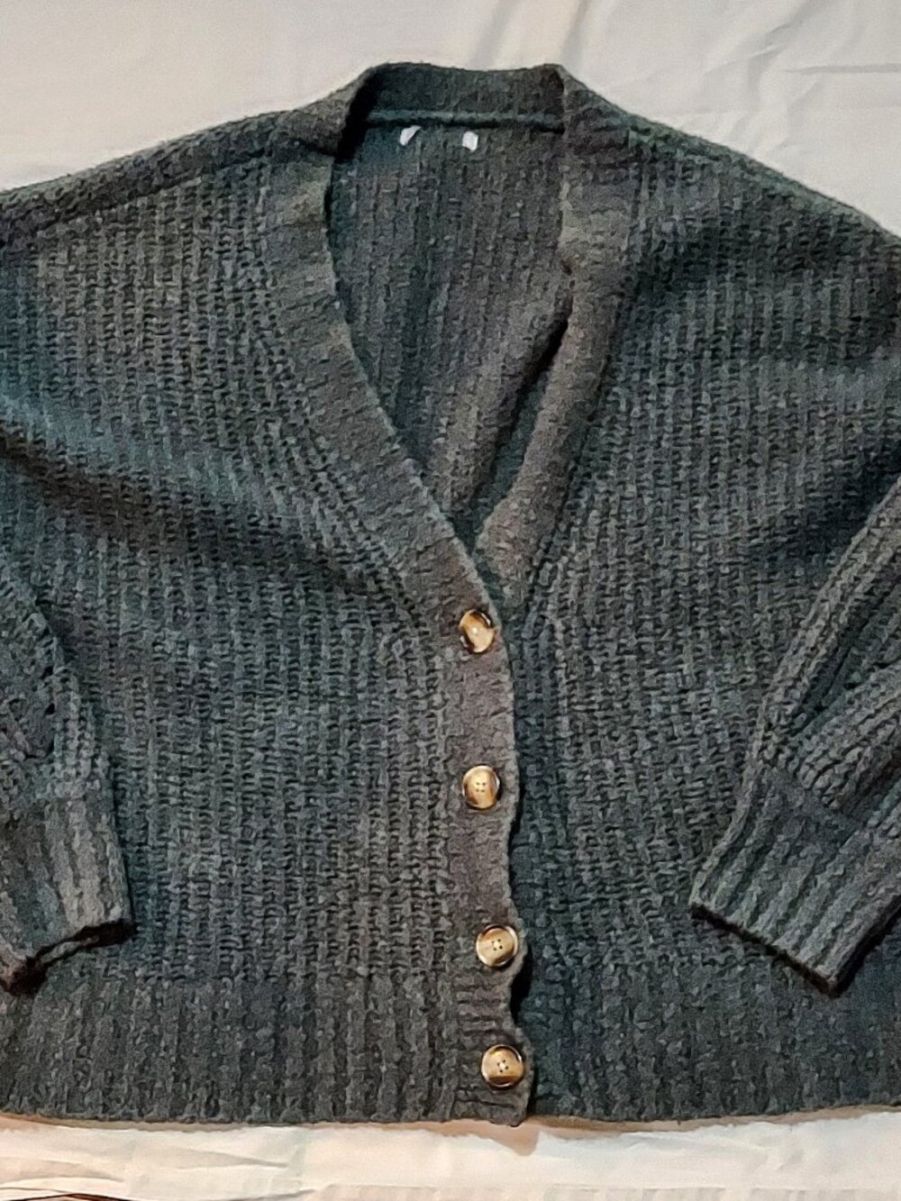 American Eagle Outfitters Oversized Green Cardigan
